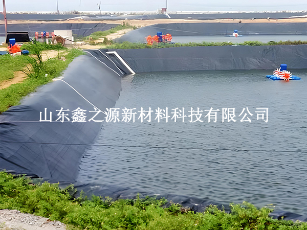 魚塘防滲膜存放技巧：輕松保鮮，以備不時之需